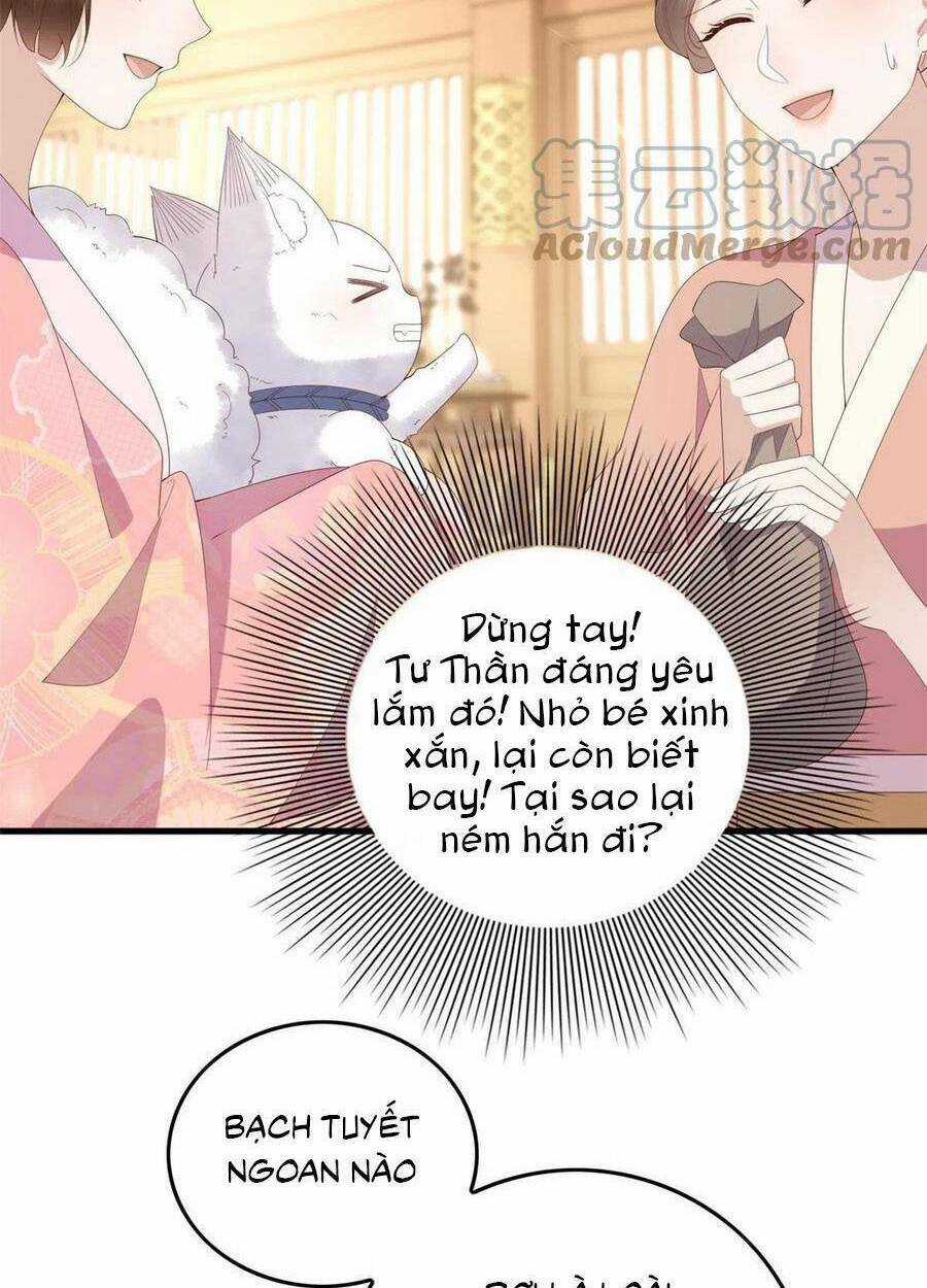 Nữ Phụ Không Thể Chọc Giận Chapter 95 trang 26