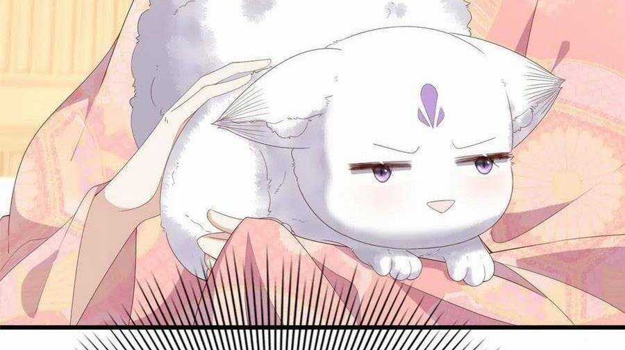 Nữ Phụ Không Thể Chọc Giận Chapter 95 trang 28