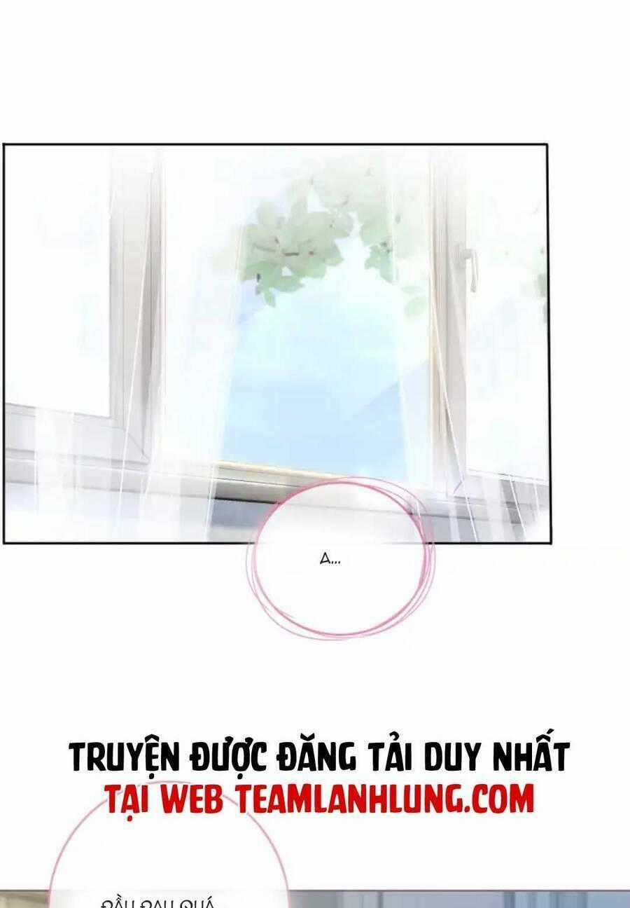 Nữ Phụ Ngày Nào Cũng Muốn Ly Hôn Với Ta Chapter 21 trang 1