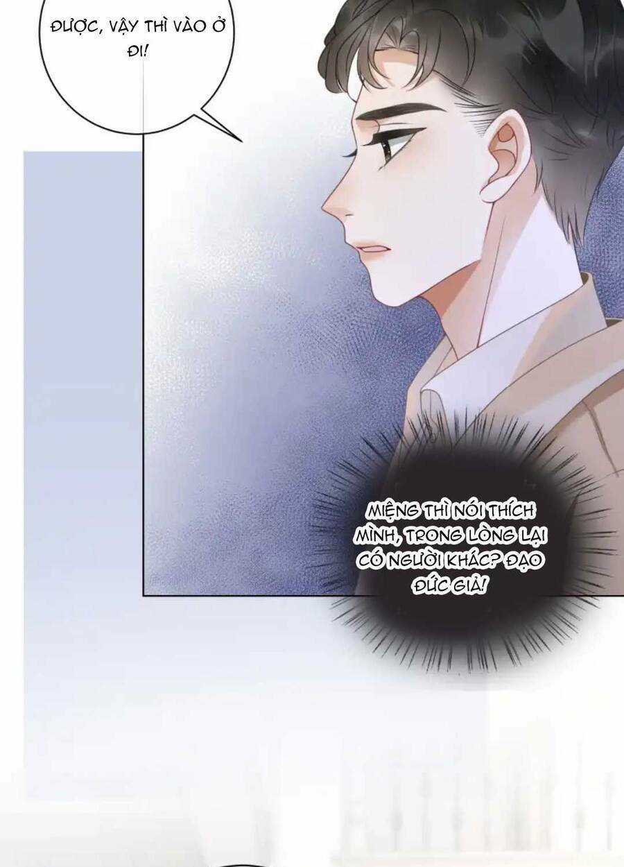 Nữ Phụ Ngày Nào Cũng Muốn Ly Hôn Với Ta Chapter 9 trang 33
