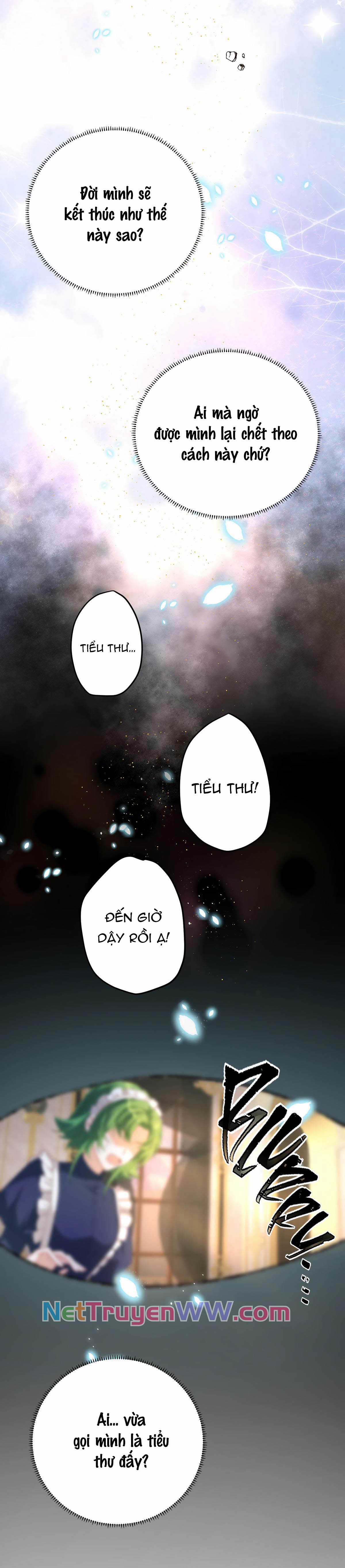 Nữ phụ phản diện và nữ chúa quỷ Chapter 1 trang 14