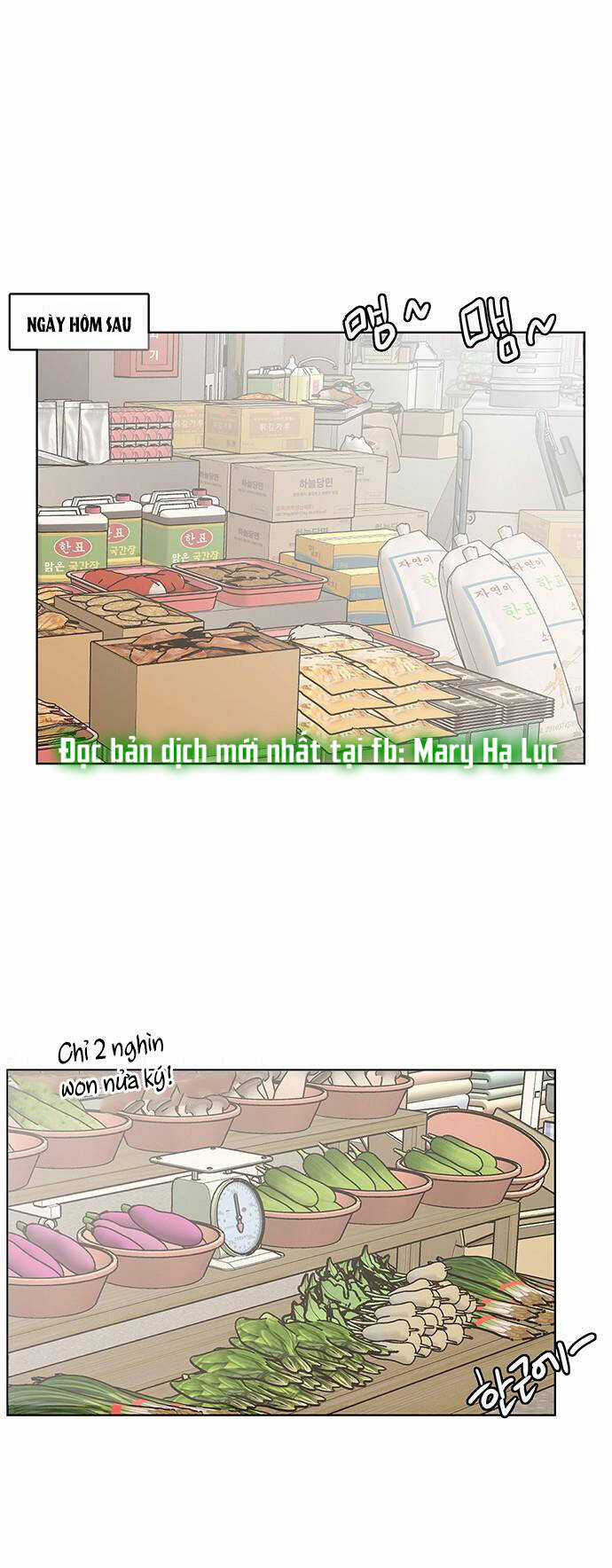 Nữ Thần Giáng Thế Chapter 211.2 trang 19