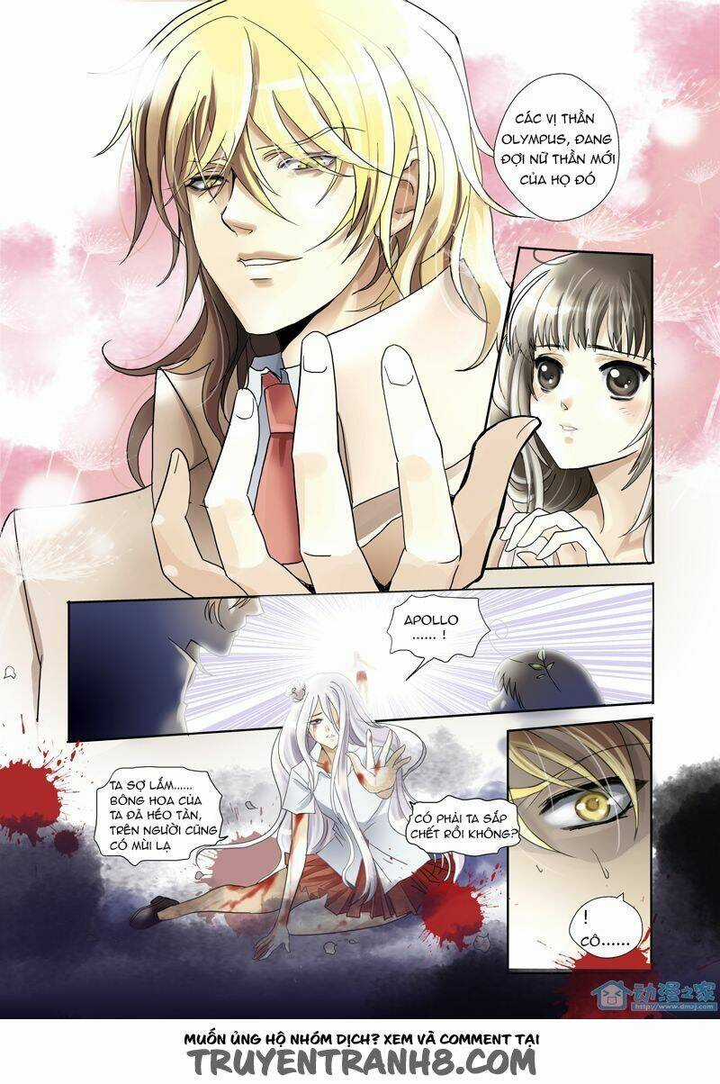 Nữ Thần Nghèo Khổ Chapter 2 trang 3