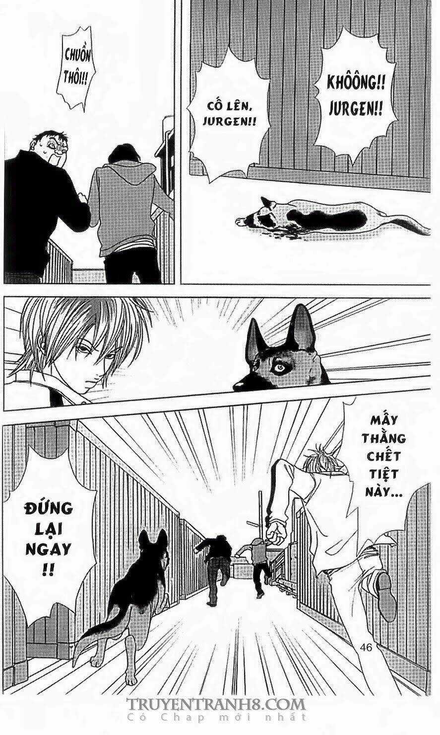 Nữ Thanh Tra Cún Con Chapter 35 trang 12