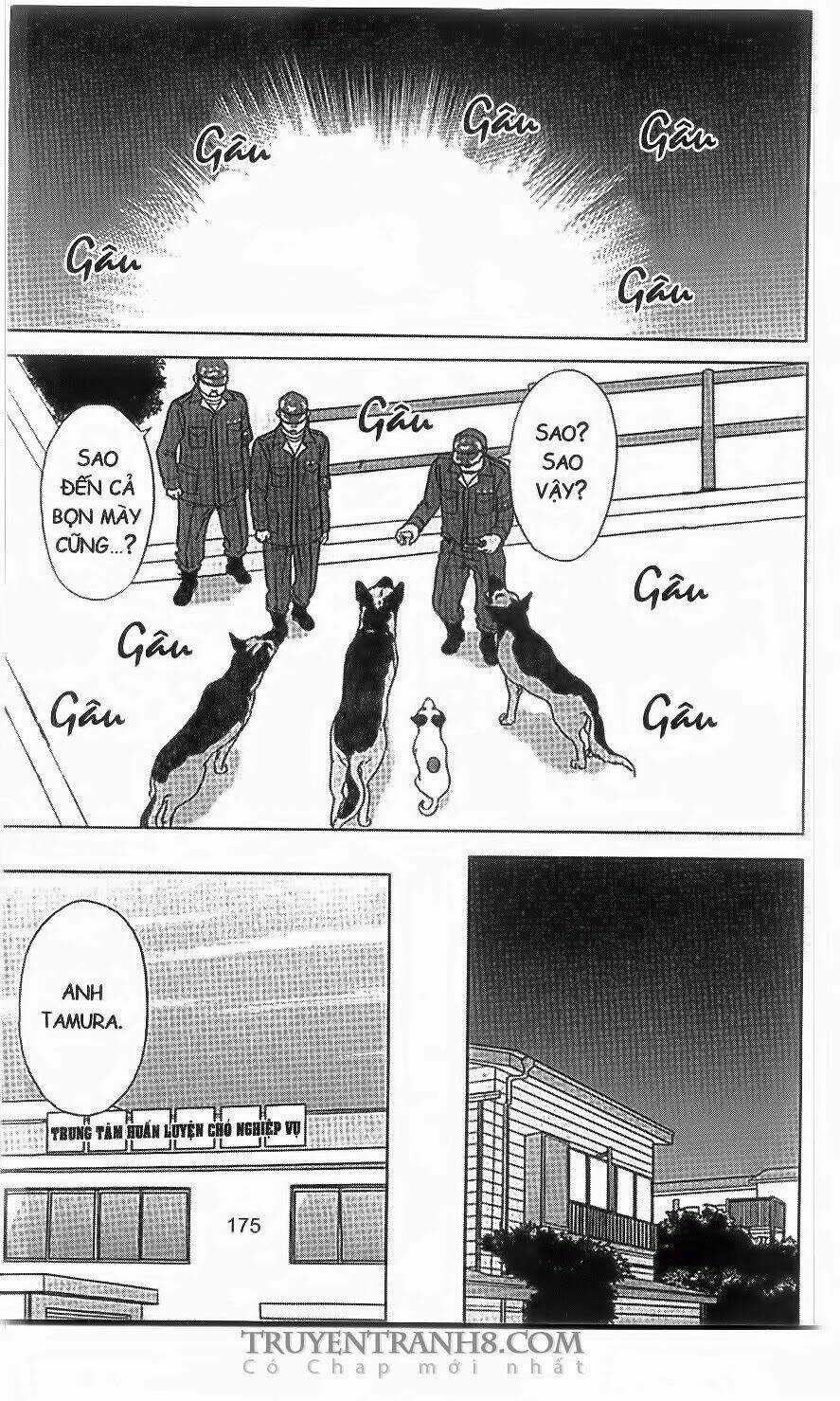 Nữ Thanh Tra Cún Con Chapter 39 trang 21