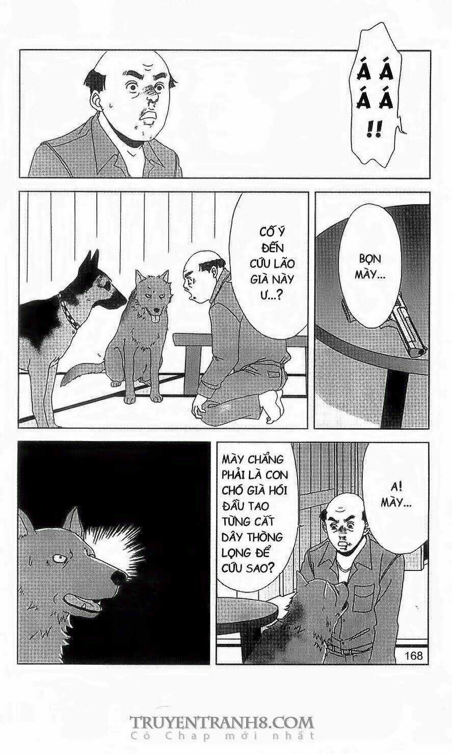Nữ Thanh Tra Cún Con Chapter 51 trang 13