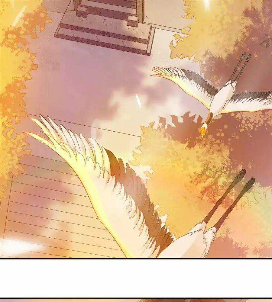 Nữ Tiên Tôn Bận Đào Hôn Chapter 1.1 trang 4