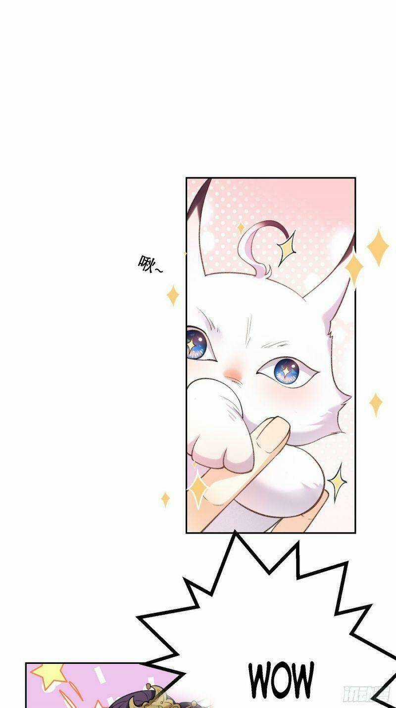 Nữ Tiên Tôn Bận Đào Hôn Chapter 31 trang 24