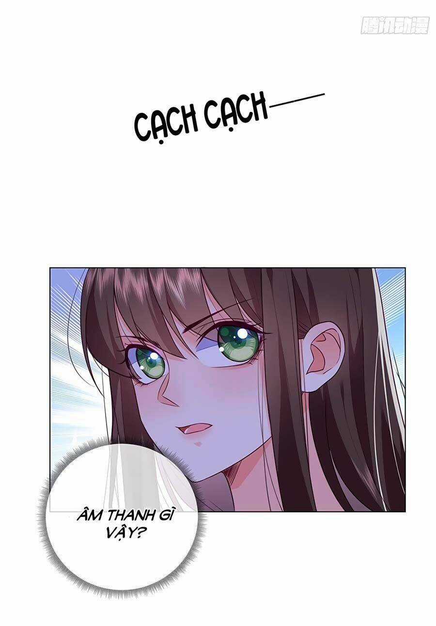 Nữ Vương Tàn Nhẫn Chapter 20 trang 17