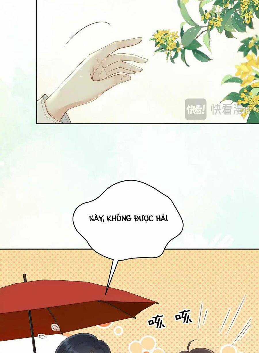 Núi Của Cô Ấy, Biển Của Cô Ấy Chapter 43 trang 11