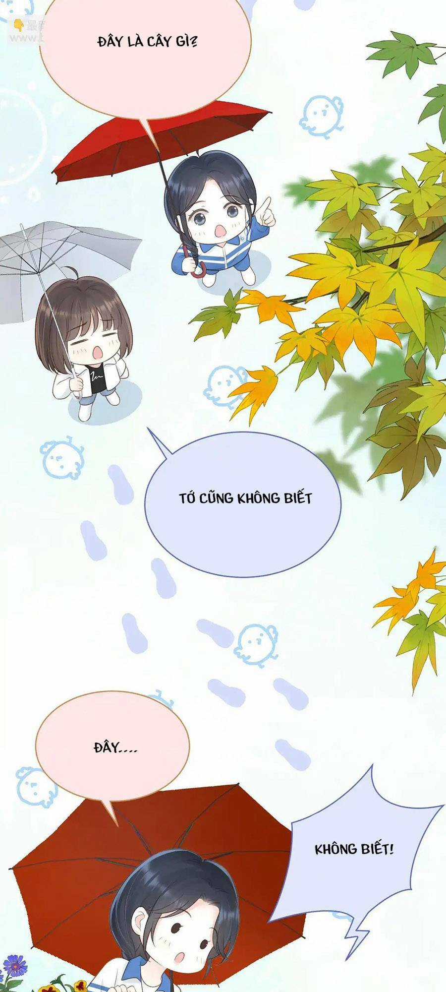 Núi Của Cô Ấy, Biển Của Cô Ấy Chapter 43 trang 7