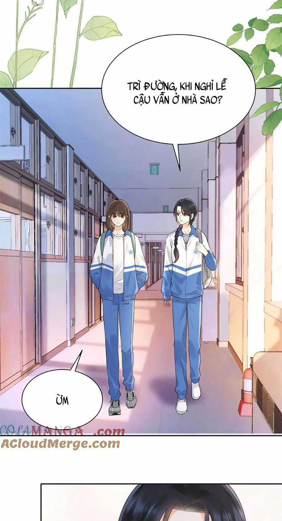Núi Của Cô Ấy, Biển Của Cô Ấy Chapter 52 trang 6