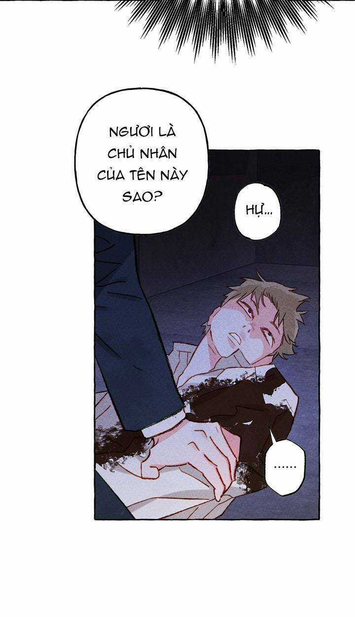 Nuôi Dưỡng Một Bé Rồng Đen Chapter 27 trang 64