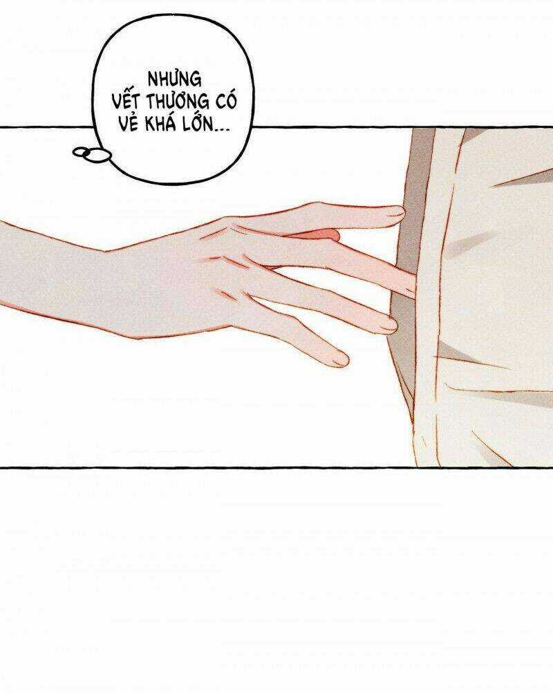 Nuôi Dưỡng Một Bé Rồng Đen Chapter 39 trang 2