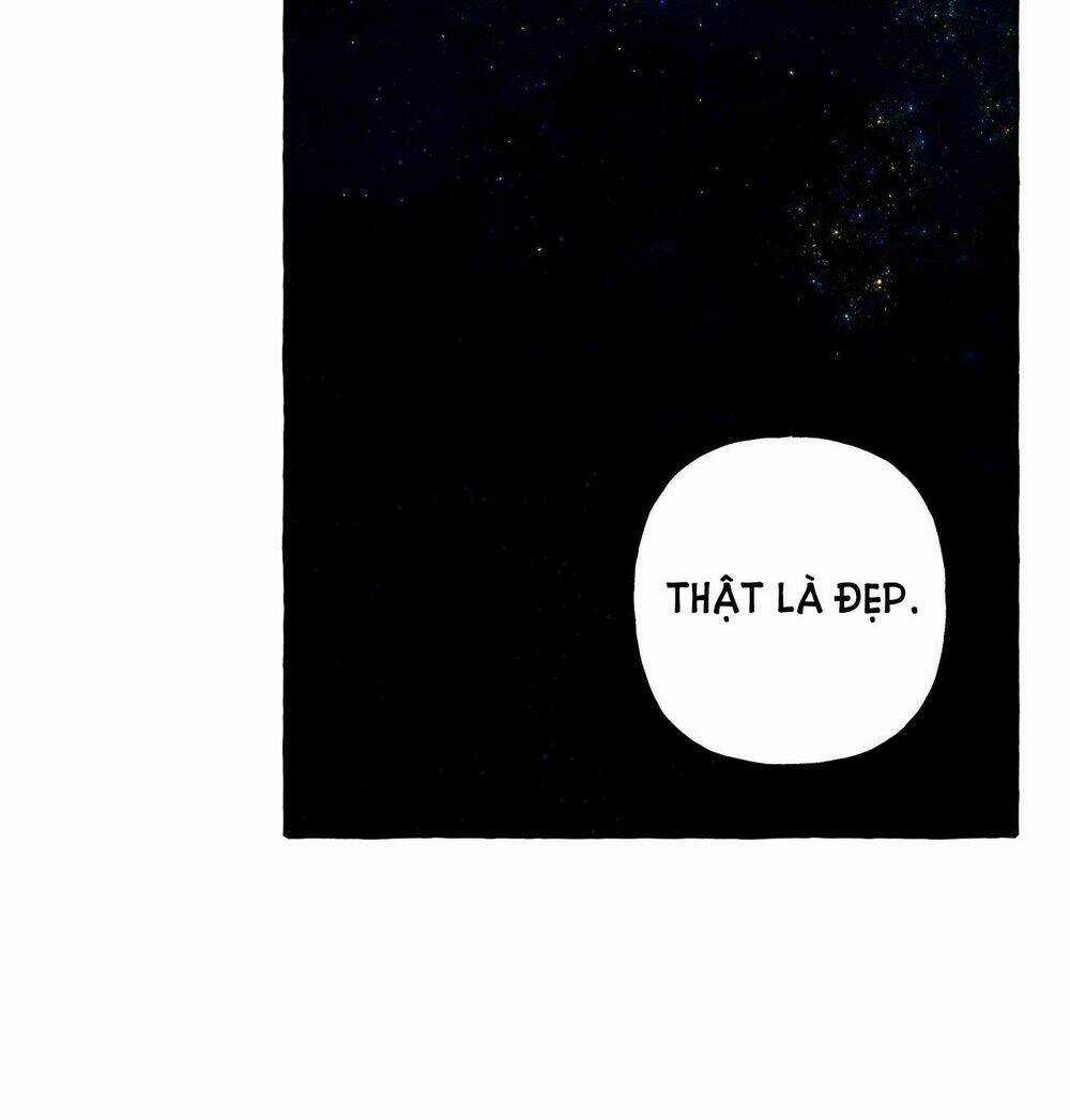 Nuôi Dưỡng Một Bé Rồng Đen Chapter 43 trang 51