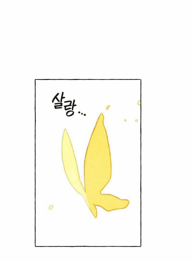 Nuôi Dưỡng Một Bé Rồng Đen Chapter 48 trang 15