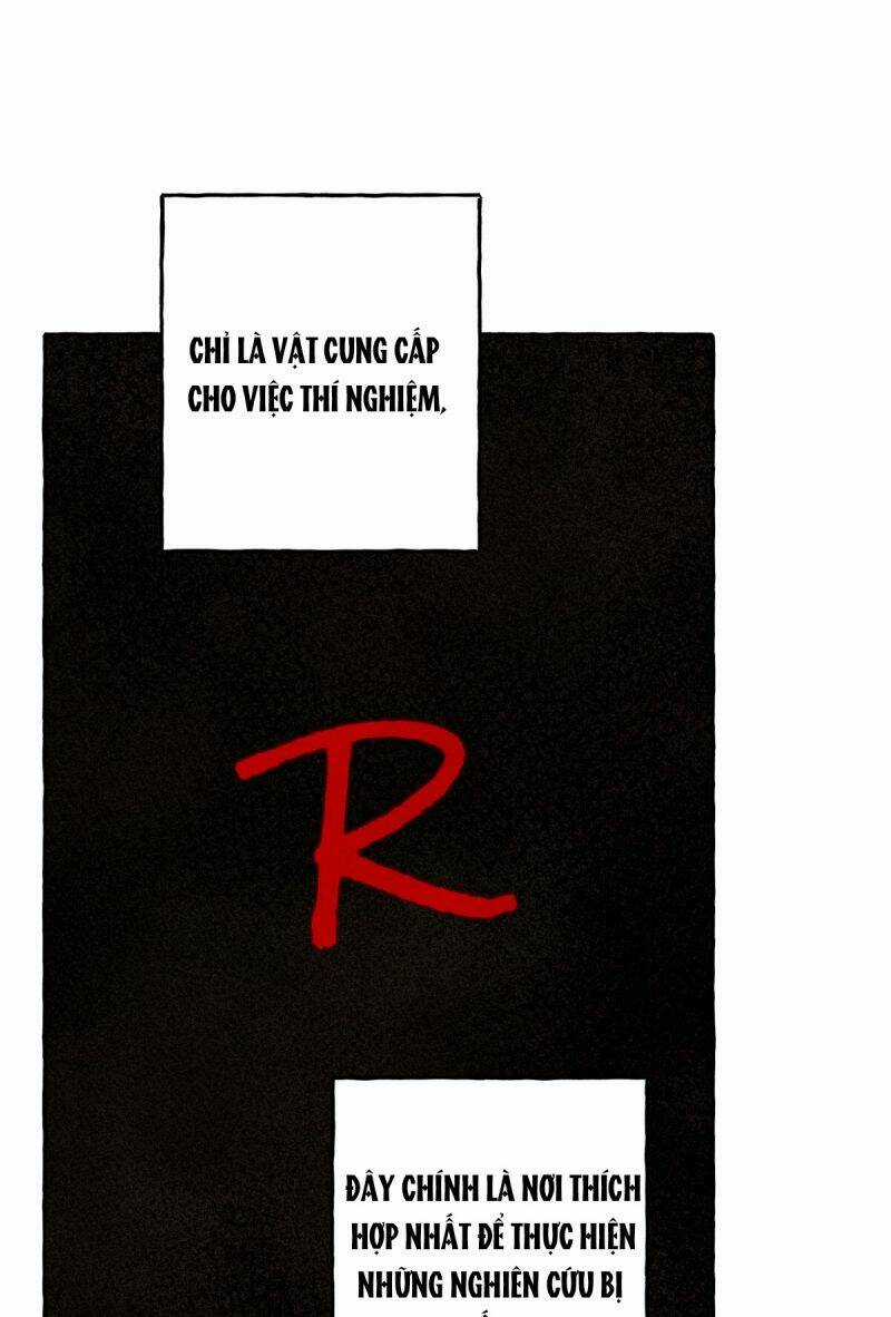 Nuôi Dưỡng Một Bé Rồng Đen Chapter 50 trang 15