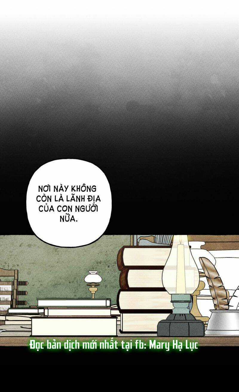 Nuôi Dưỡng Một Bé Rồng Đen Chapter 51.5 trang 8