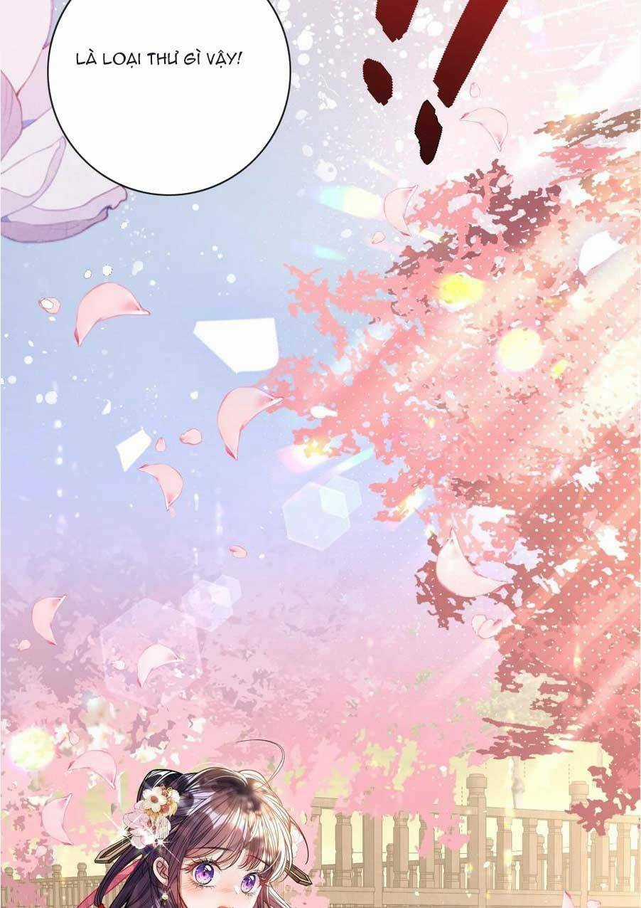 Nuông Chiều Mỹ Nhân Cuồng Nhiệt Chapter 4 trang 16