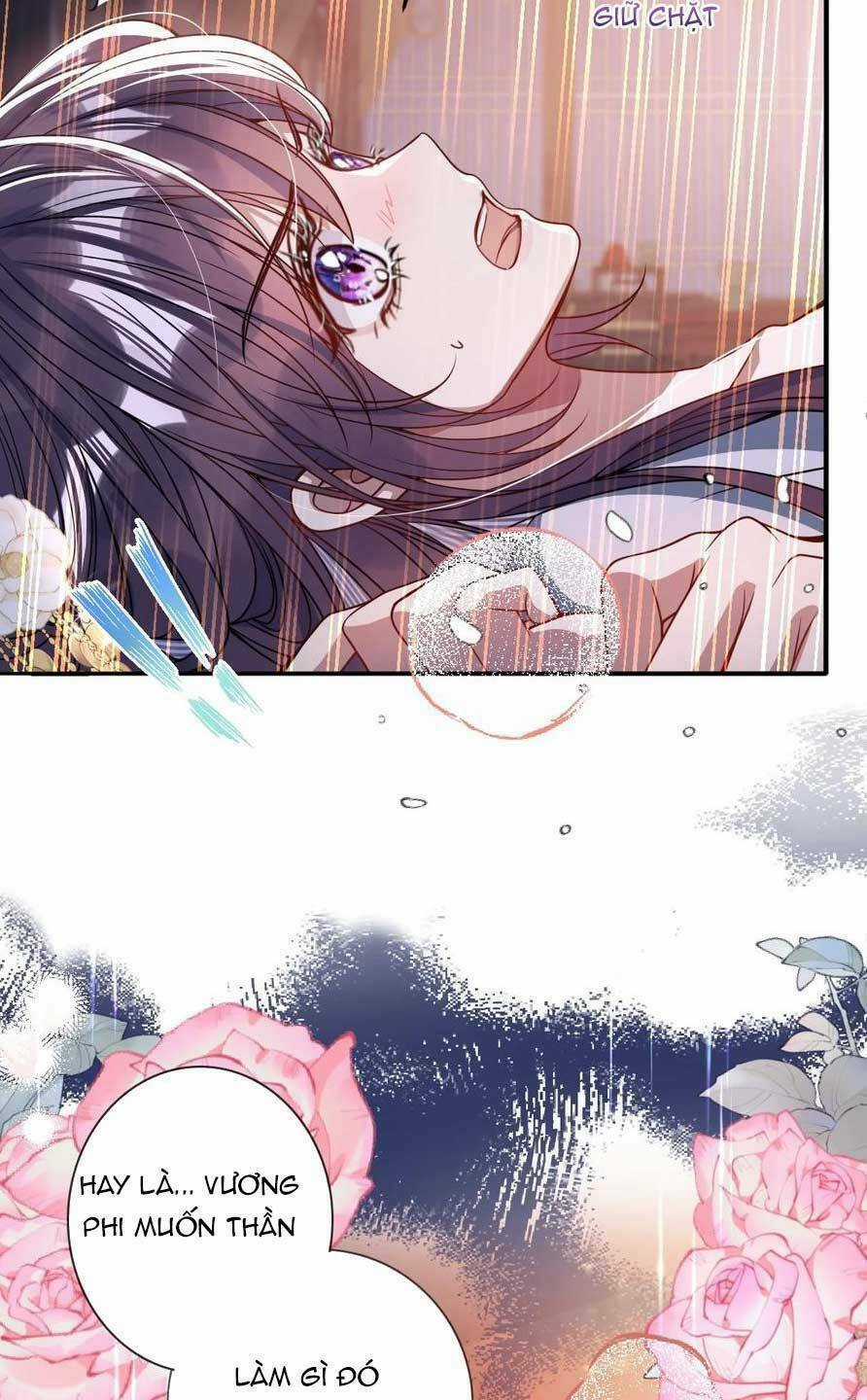 Nuông Chiều Mỹ Nhân Cuồng Nhiệt Chapter 6 trang 24
