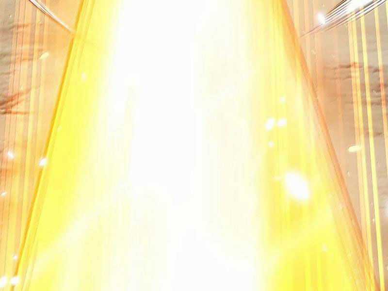 Nương Tử Nhà Ta Là Nữ Đế Chapter 175 trang 66