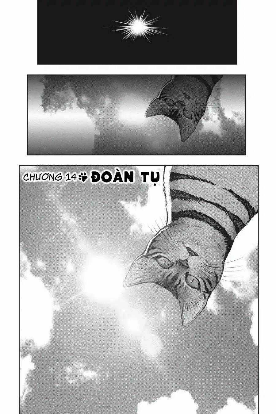 Nyankees Chapter 14 trang 1