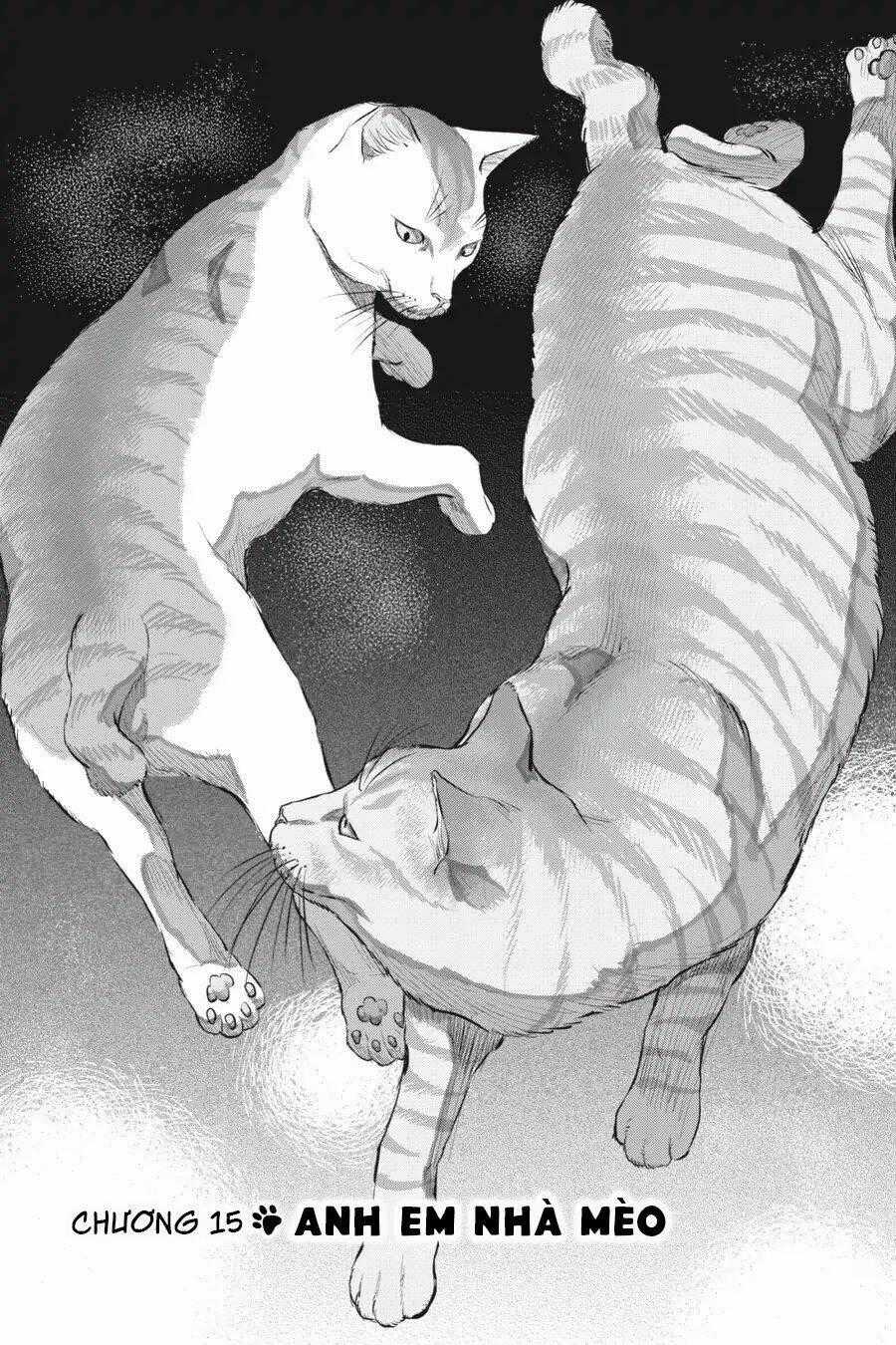 Nyankees Chapter 15 trang 1
