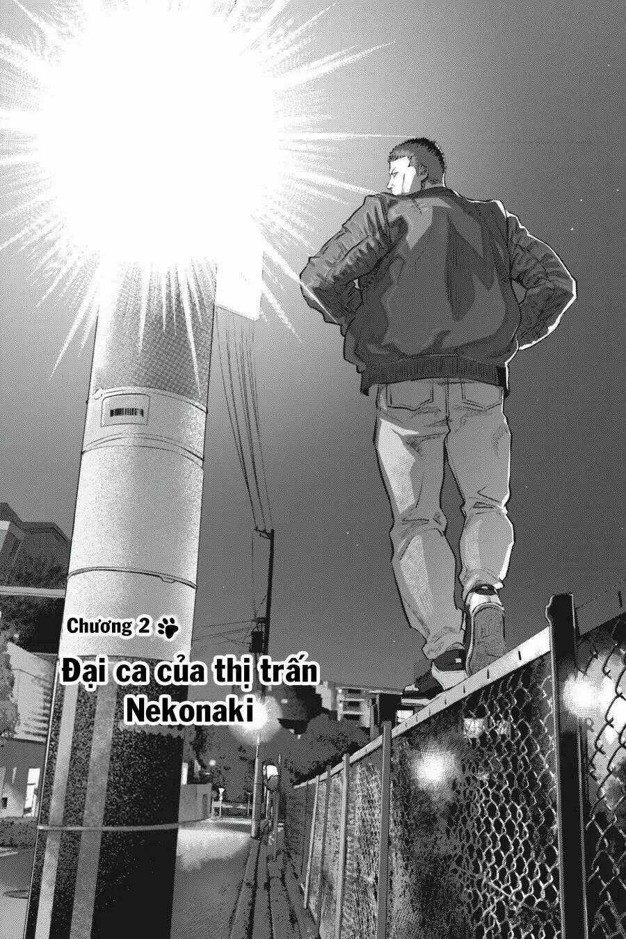 Nyankees Chapter 2 trang 1