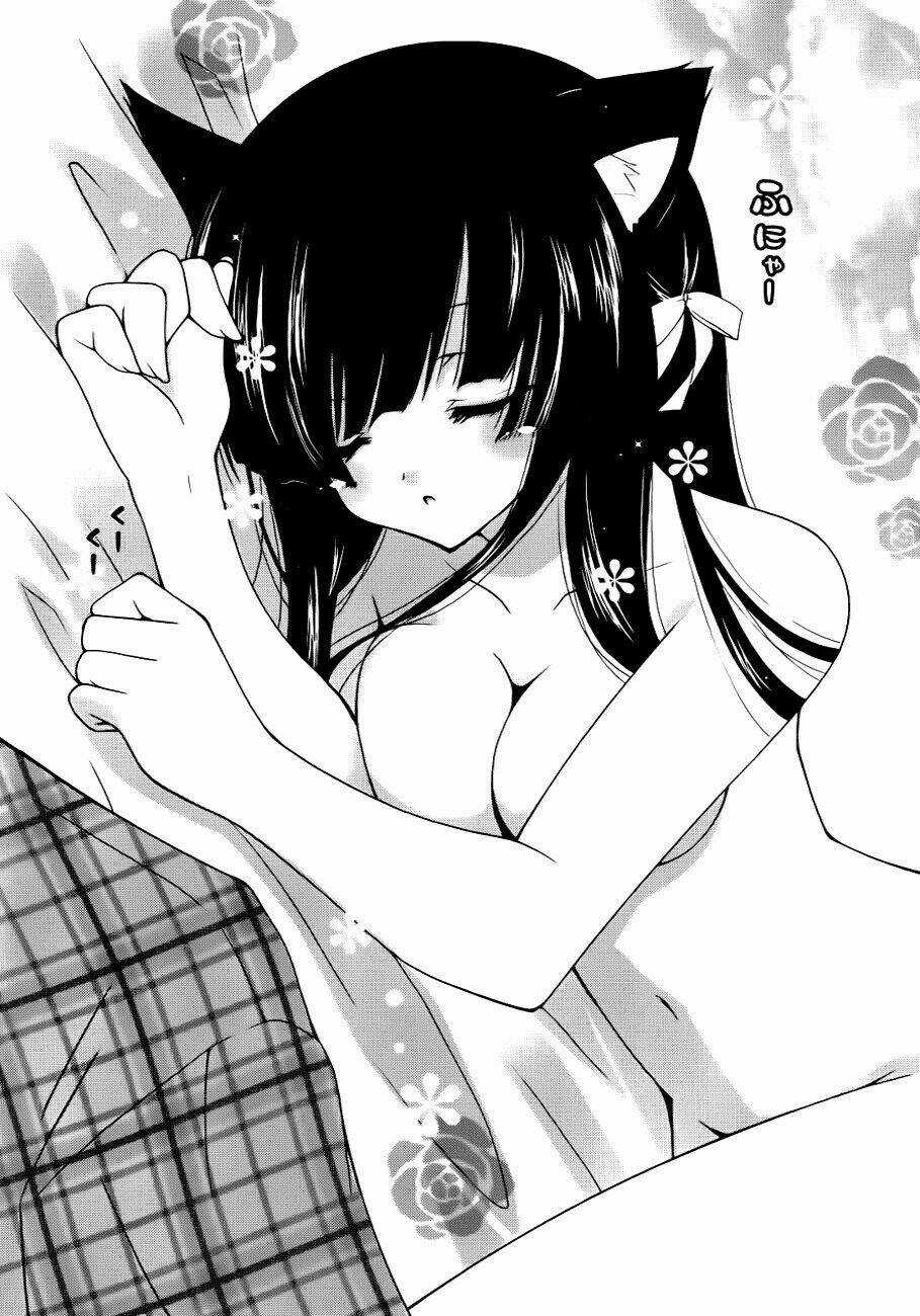 Nyatoo Chapter 1 trang 7