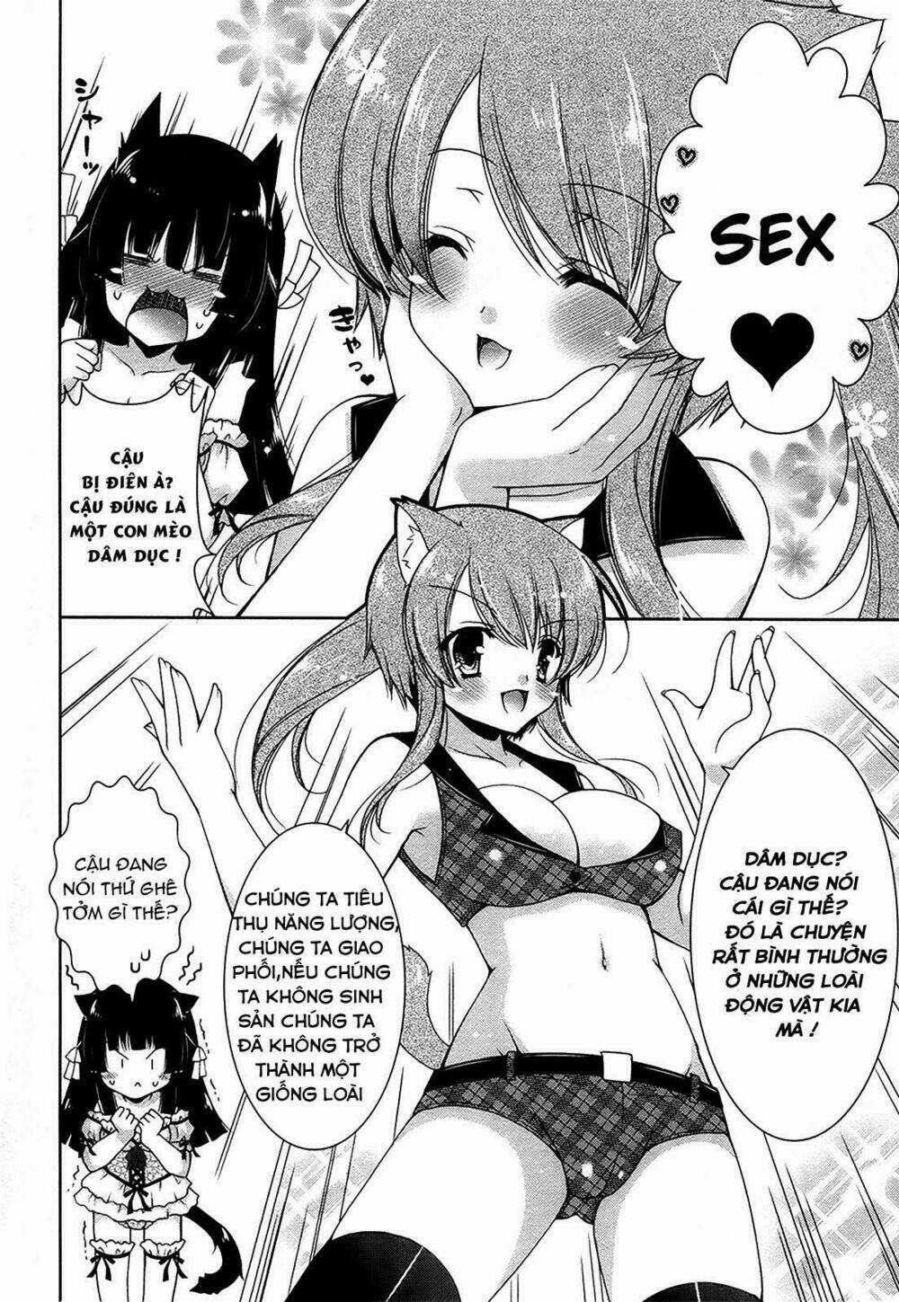 Nyatoo Chapter 12 trang 13