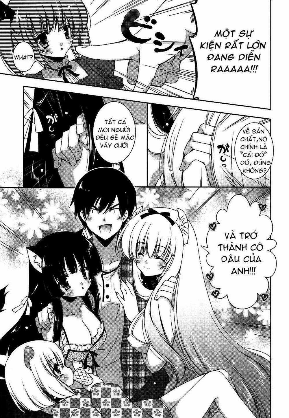 Nyatoo Chapter 13 trang 13