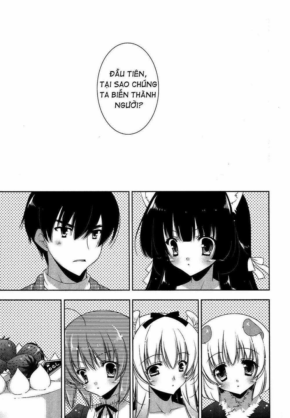 Nyatoo Chapter 16 trang 8