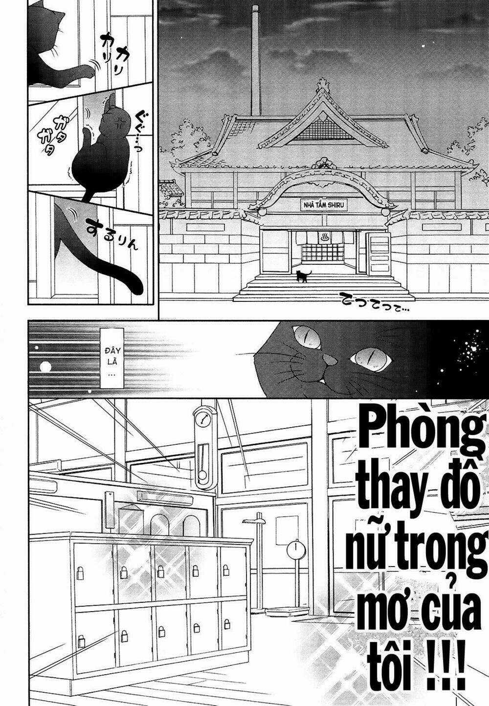 Nyatoo Chapter 17 trang 19