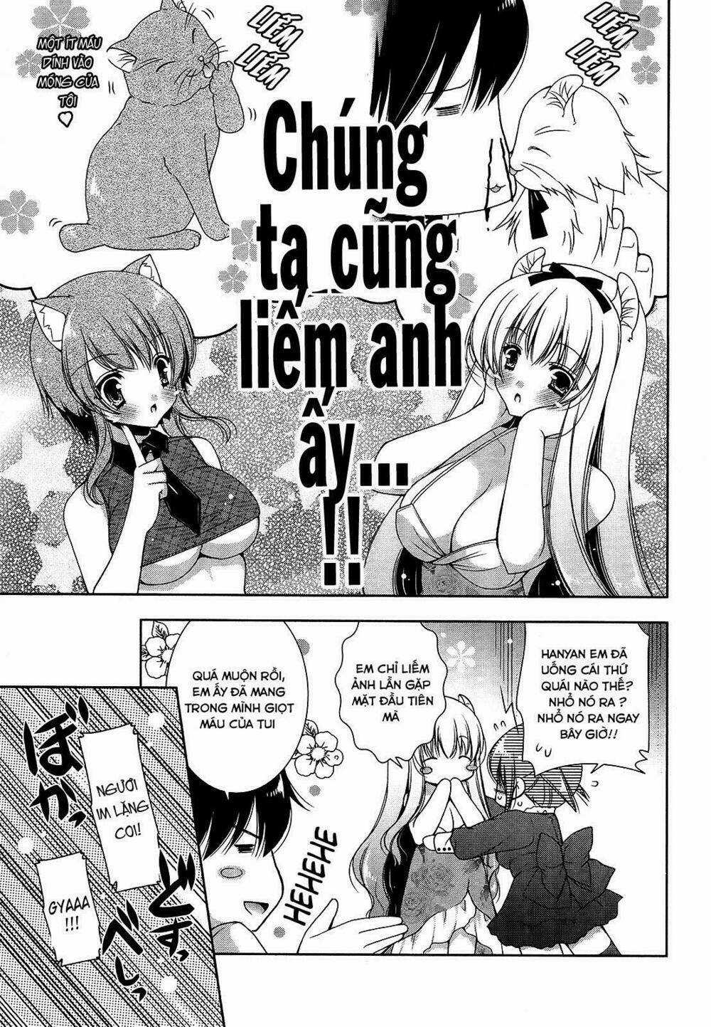 Nyatoo Chapter 17 trang 4