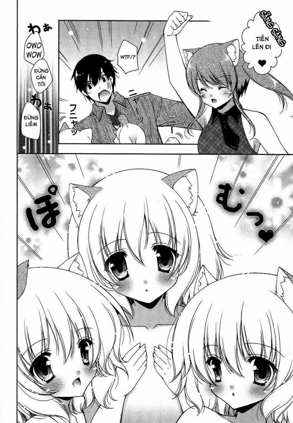 Nyatoo Chapter 18 trang 19