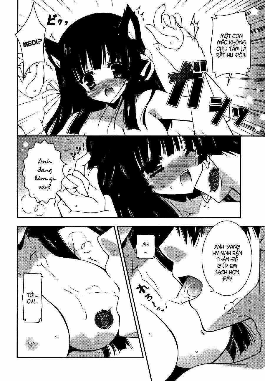 Nyatoo Chapter 2 trang 3