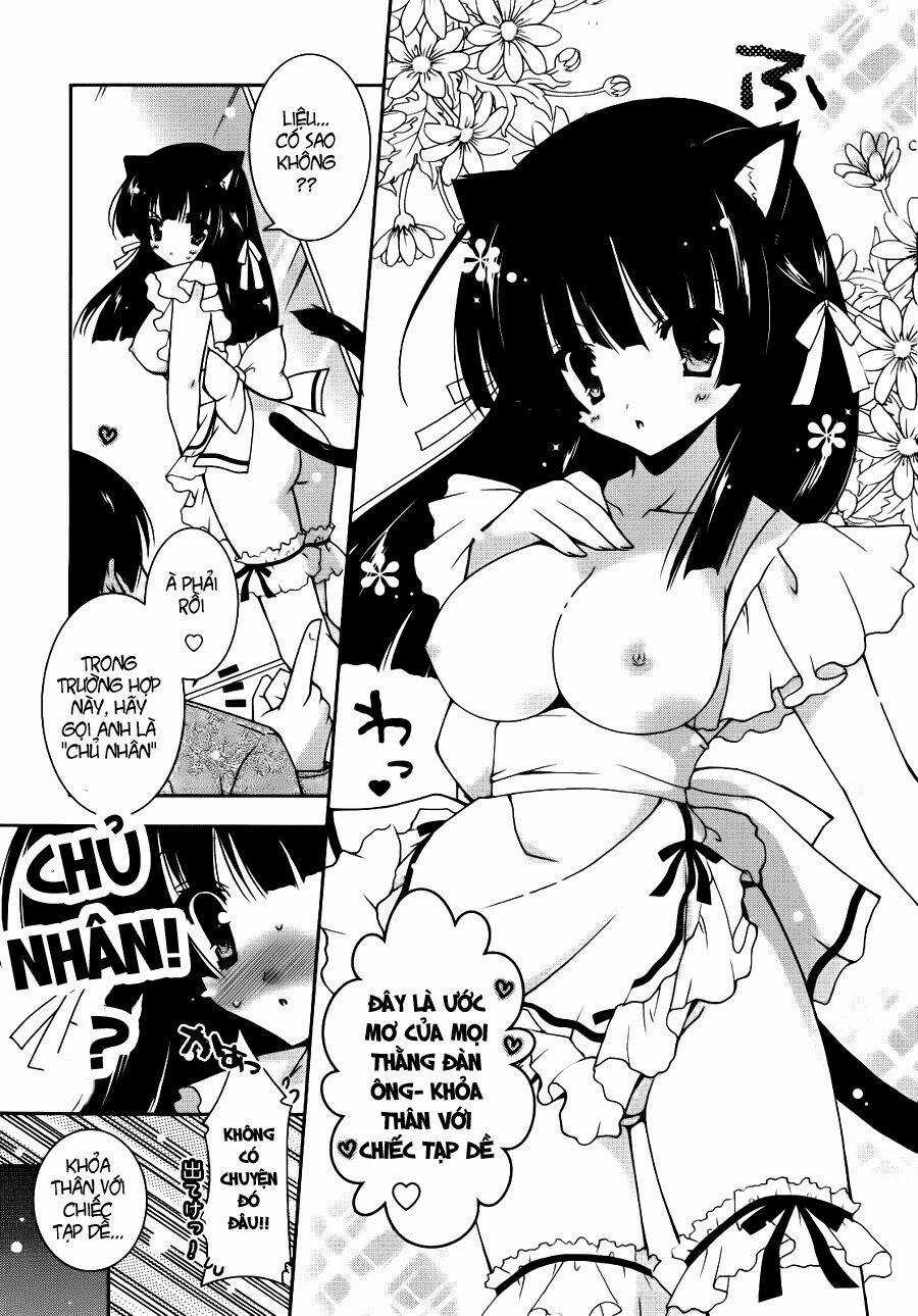 Nyatoo Chapter 3 trang 10