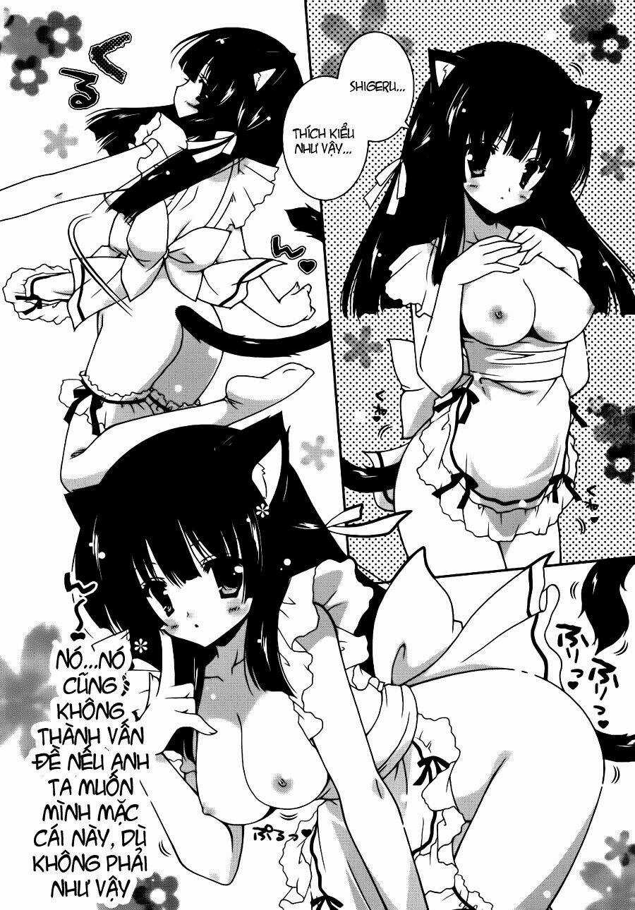 Nyatoo Chapter 3 trang 11