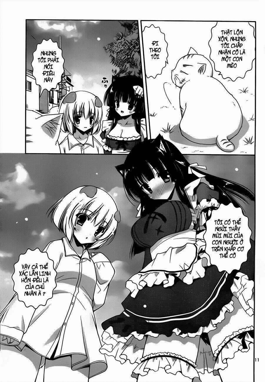 Nyatoo Chapter 5 trang 12