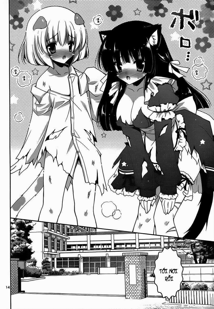 Nyatoo Chapter 5 trang 15