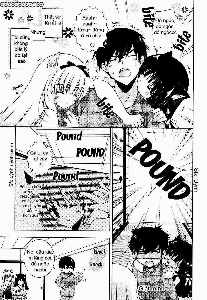 Nyatoo Chapter 7 trang 12