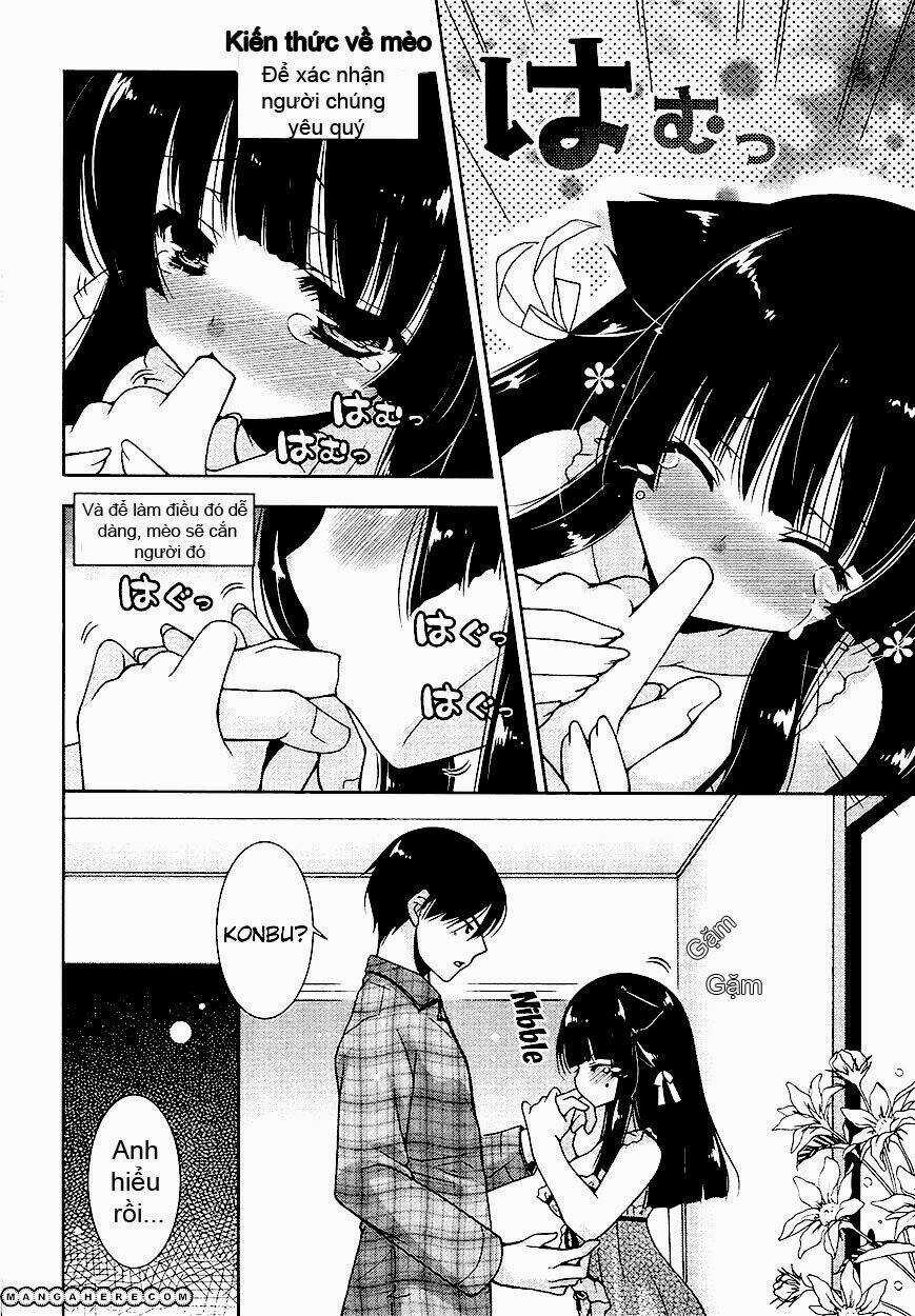 Nyatoo Chapter 7 trang 32