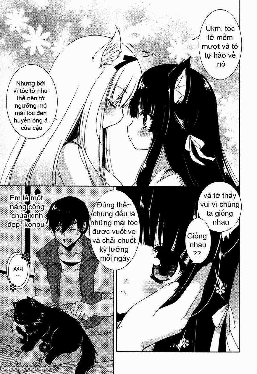 Nyatoo Chapter 7 trang 35