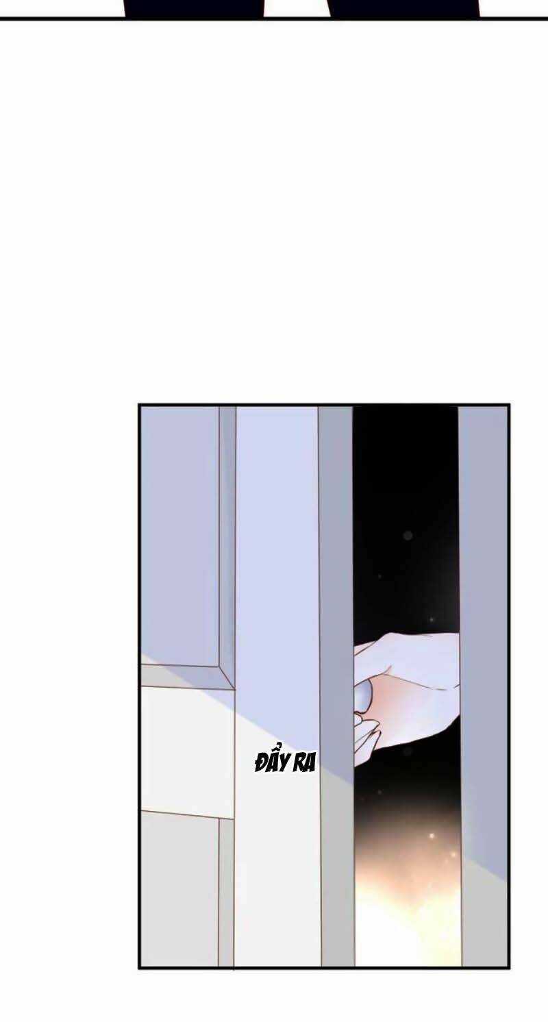 Ở Lại Thế Kỷ Này Chapter 38 trang 5