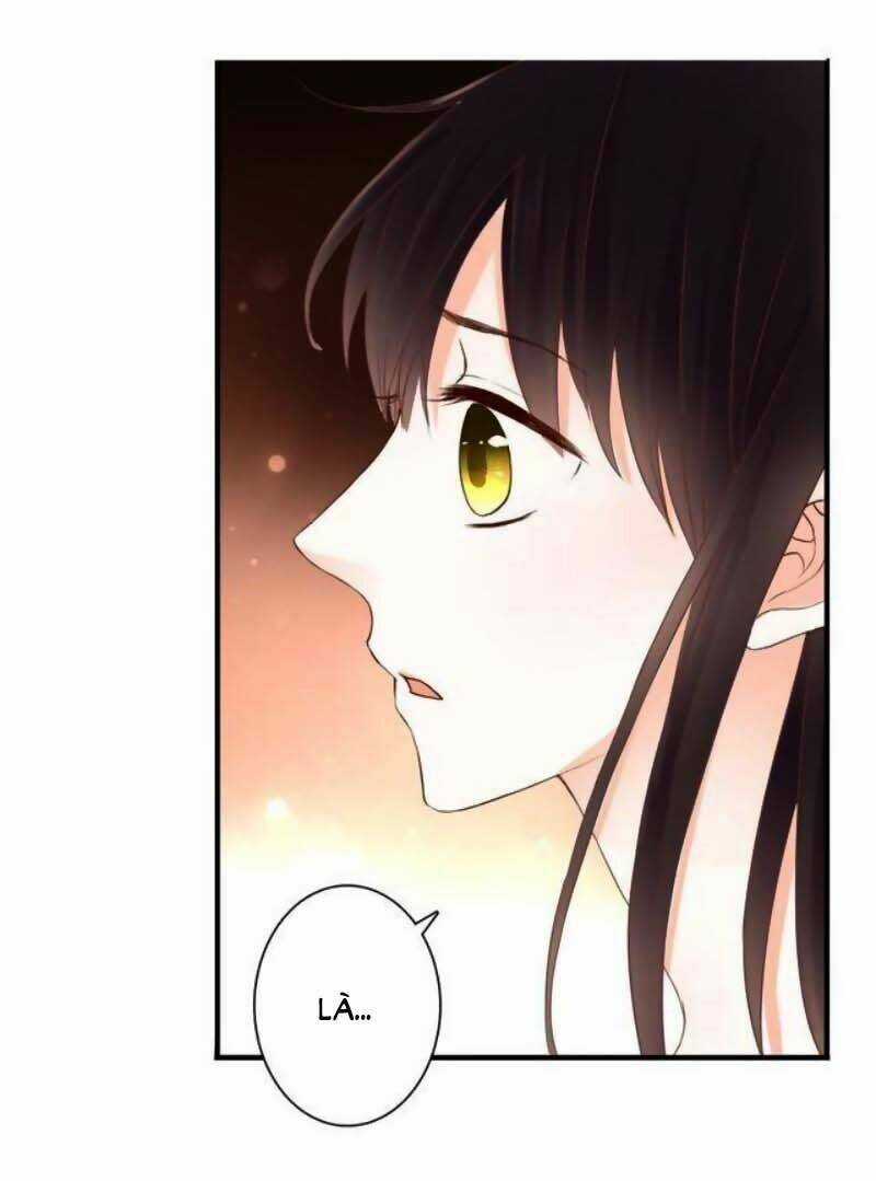 Ở Lại Thế Kỷ Này Chapter 38 trang 7