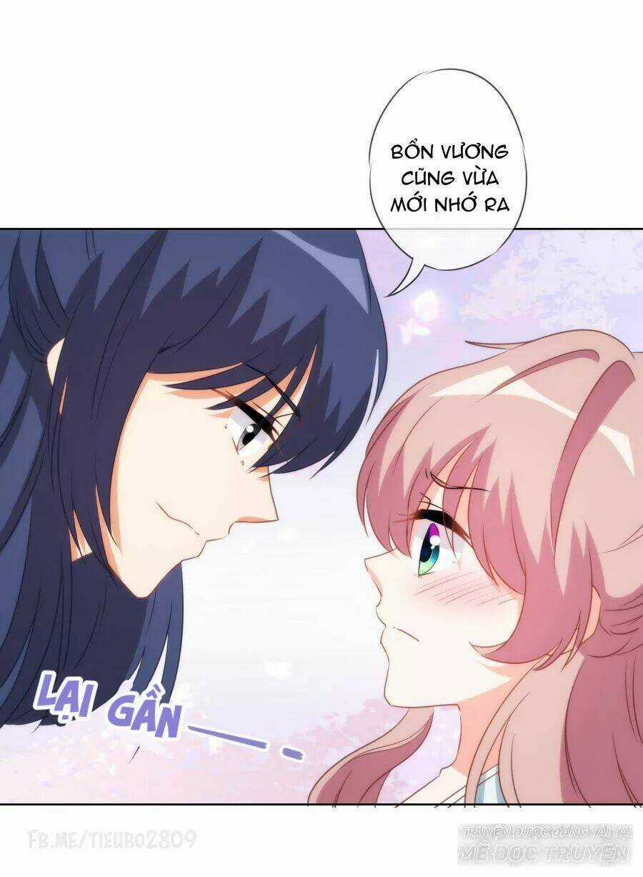 Ồ, Phu Quân Đáng Yêu Của Tôi! Chapter 85 trang 12