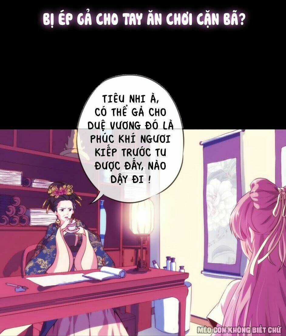 Ồ, Sủng Phi Đại Nhân Của Ta Chapter 0 trang 16