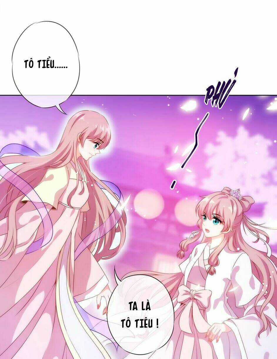 Ồ, Sủng Phi Đại Nhân Của Ta Chapter 1 trang 25