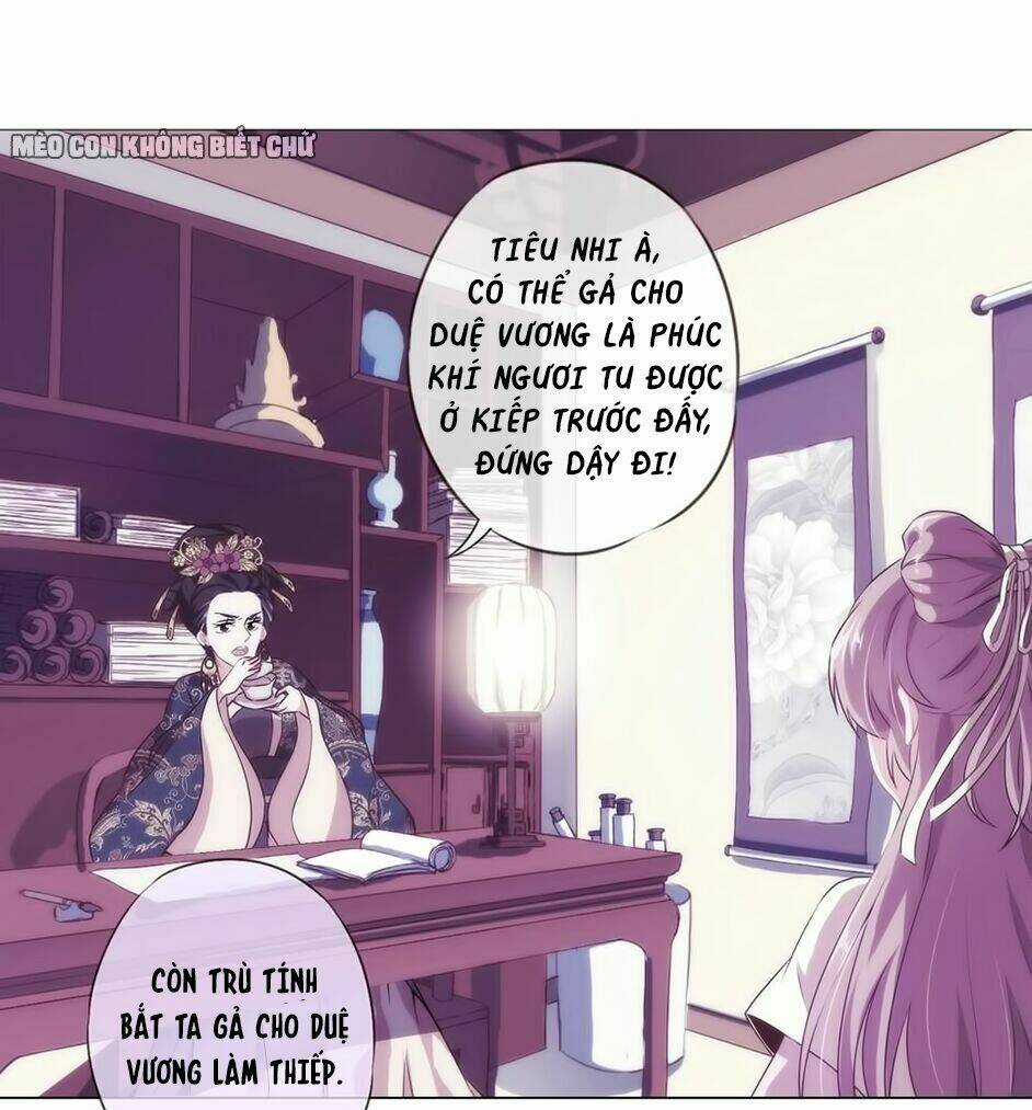 Ồ, Sủng Phi Đại Nhân Của Ta Chapter 1 trang 30