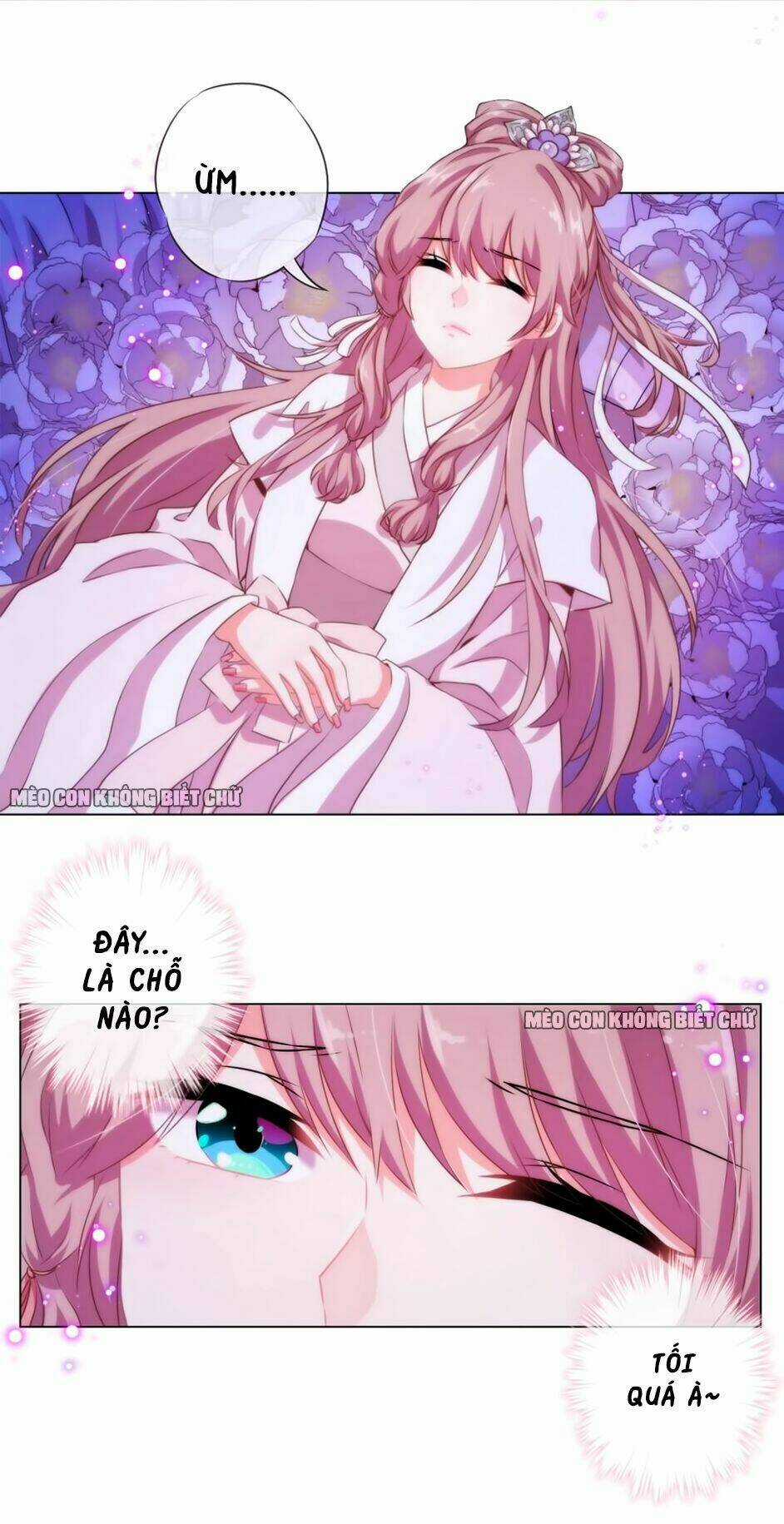 Ồ, Sủng Phi Đại Nhân Của Ta Chapter 1 trang 7